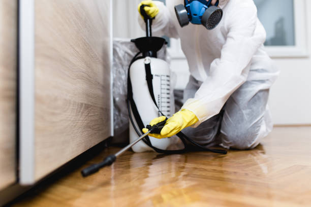 Best Termite Control Services  in Merced, CA
