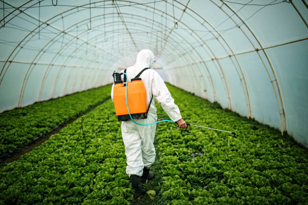 Best Affordable Pest Control Services  in Merced, CA