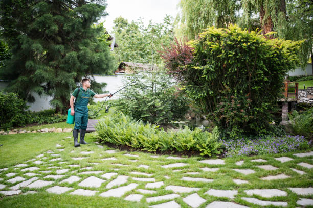 Best Mosquito Control Services  in Merced, CA