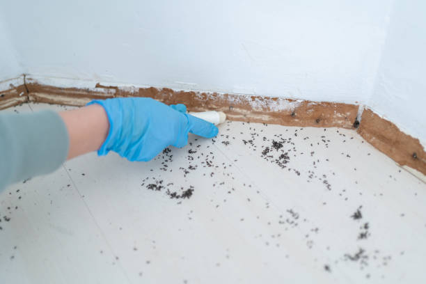 Best Exterminator Services  in Merced, CA
