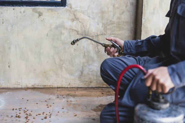 Best Affordable Pest Control Services  in Merced, CA