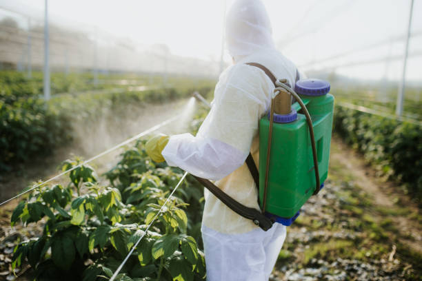 Best Termite Control Services  in Merced, CA